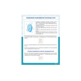 Информационный стенд «Уравнения равновесия системы сил» ИС0115 Ziluo