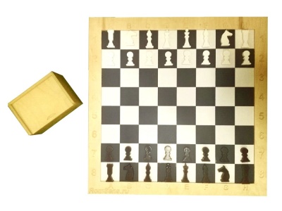 Настенная игра «Шашки+шахматы» Romsens