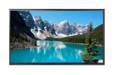 Профессиональная панель EWIN 50" DE50A