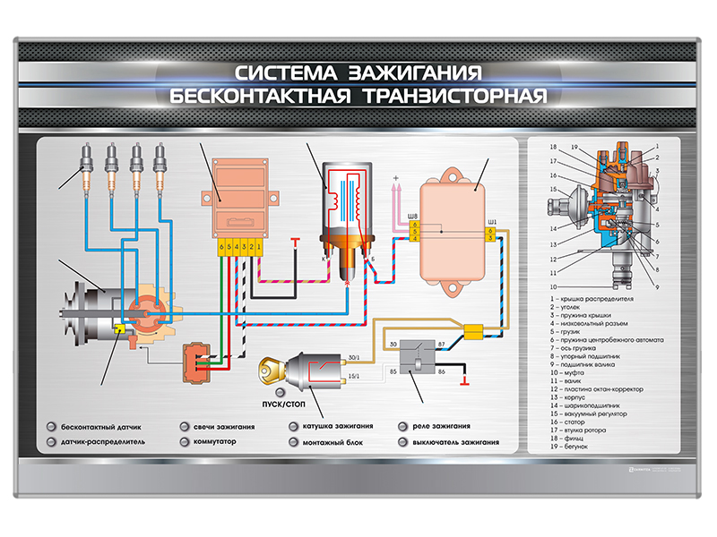 Распределяет зажигание в машине. Элементы системы зажигания автомобиля. Приборы бесконтактной системы зажигания. Схема устройство бесконтактной системы зажигания. Схема устройства системы зажигания на авто.