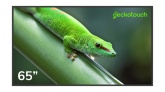 Профессиональная панель Geckotouch 65DF