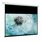 Экран с электроприводом ViewScreen Plato EPL-4305 (4:3) 305x231 (295x221, MW)