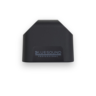 Сетевая активная двухполосная акустическая система 3,5" Bluesound Professional BSP200 BLK