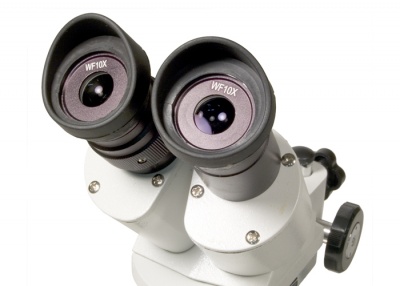 Стереоскопический микроскоп Levenhuk 3ST