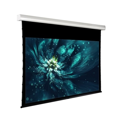 Экран с электроприводом ViewScreen Premium LF-MC200 (16:10) (AACW) 476х319 (430x269 PS WW5)