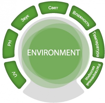Цифровая лаборатория SenseDisc Environment-комплект для опытов по природоведению