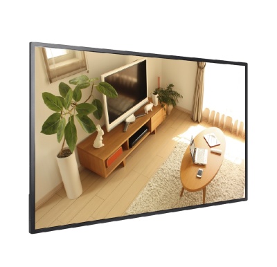 Профессиональная панель HIKVISION DS-D6032FN-B