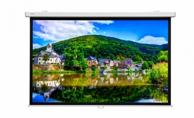 Экран настенный Lumien Master Picture LMP-100109CSR (16:9) 195х276 (150х266, MW)