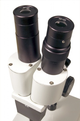 Стереоскопический микроскоп Levenhuk 2ST