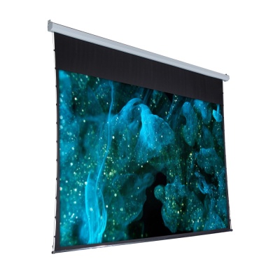 Экран с электроприводом ViewScreen Premium XL EPR-16101 (16:10) 200" 443x331 (431x269, MW) с пультом