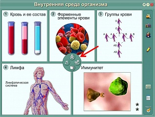 Бесплатные интерактивные плакаты. Плакат по биологии. Интерактивный плакат по биологии. Плакат на тему биология. Плакаты по биологии человек.